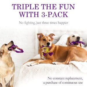 Frienhund Bacon Flavored Chew Toys for Aggressive Chewers (3-Pack) - Image 6