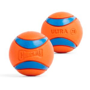 Chuckit! Ultra Ball Dog Toy (Medium, 2-Pack) - Image 2