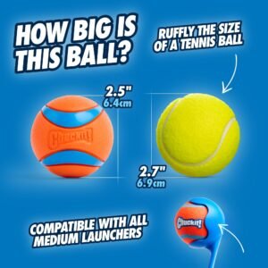 Chuckit! Ultra Ball Dog Toy (Medium, 2-Pack) - Image 6