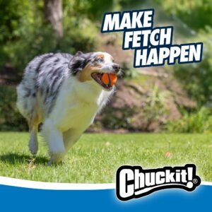 Chuckit! Ultra Ball Dog Toy (Medium, 2-Pack) - Image 7