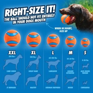 Chuckit! Ultra Ball Dog Toy (Medium, 2-Pack) - Image 5