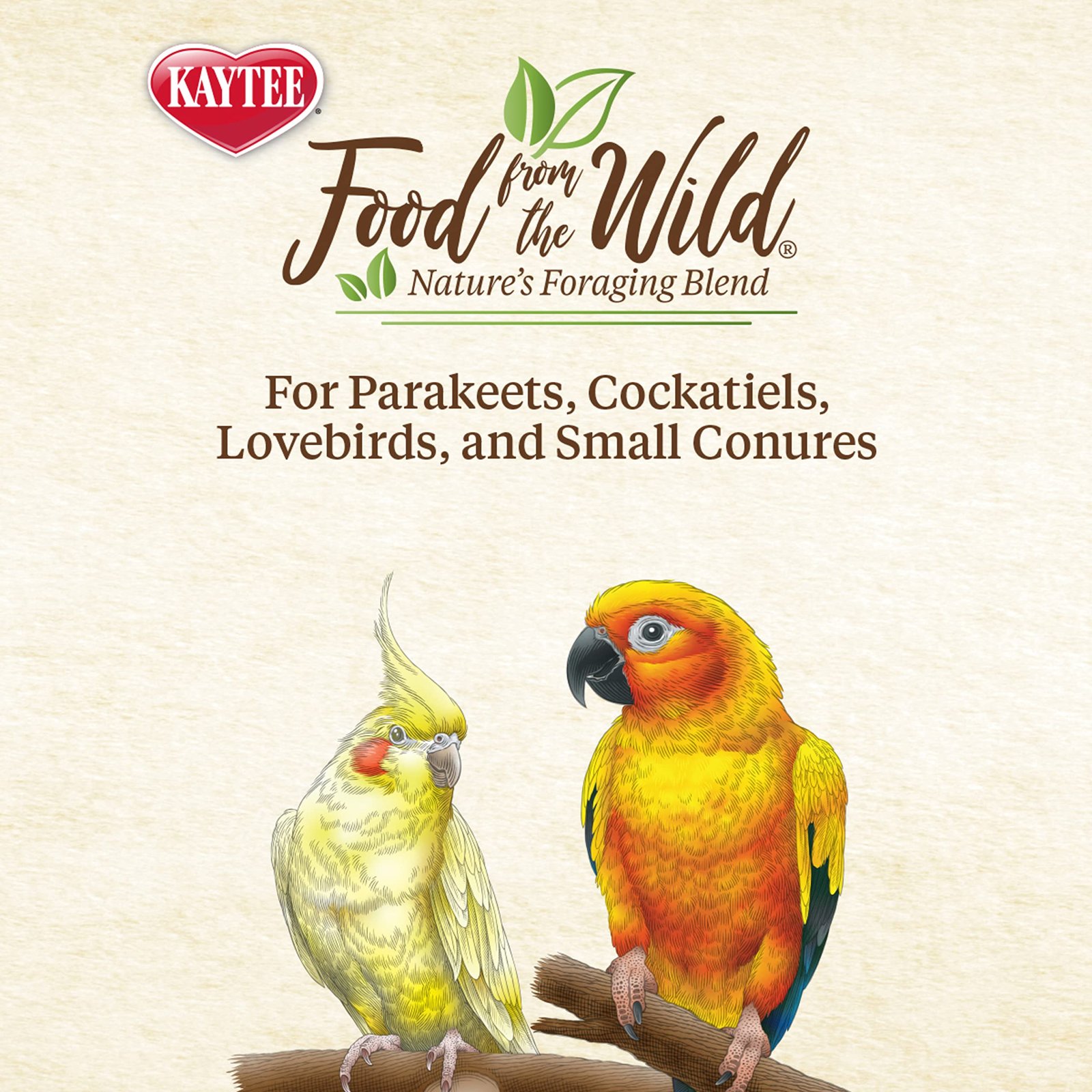 Kaytee Food From The Wild Natural Snack Food Treats For Pet Birds, 3 oz - Image 3