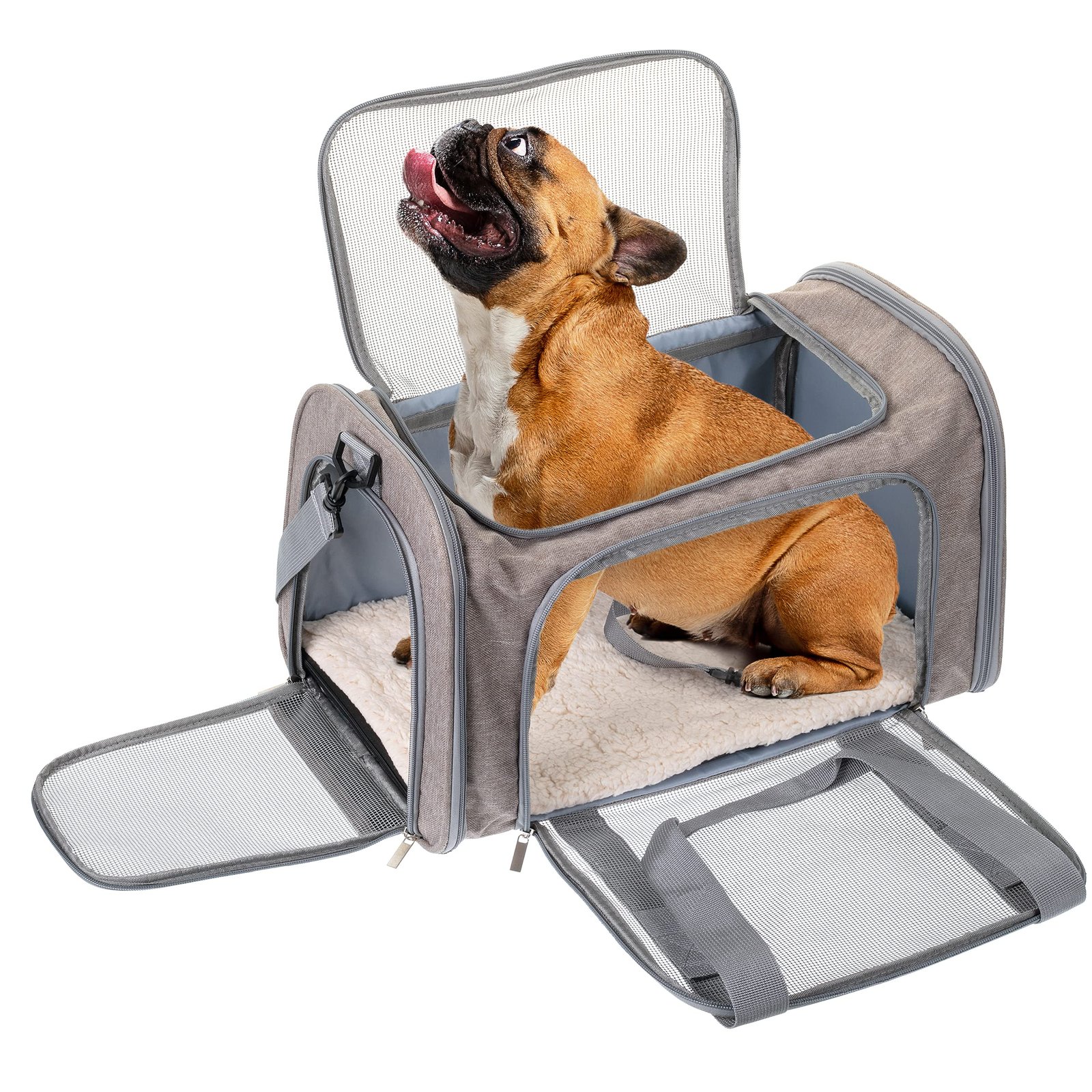 Mr. Pen Soft-Sided Pet Carrier - Image 2